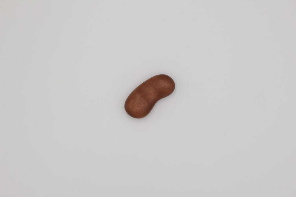 wooden bean on a light gray background