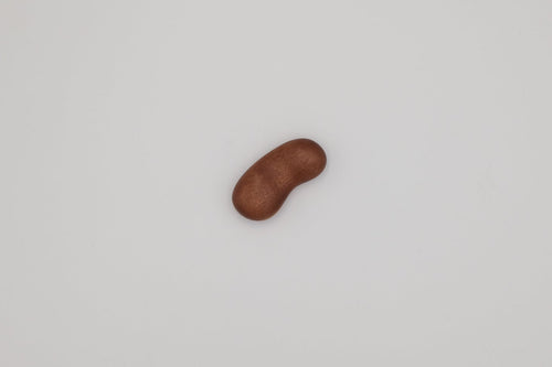 wooden bean on a light gray background
