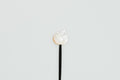 Shell Fruit Pick